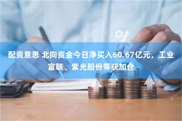 配资意思 北向资金今日净买入60.67亿元，工业富联、紫光股份等获加仓