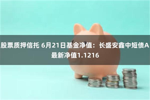 股票质押信托 6月21日基金净值：长盛安鑫中短债A最新净值1.1216