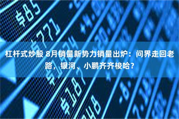 杠杆式炒股 8月销量新势力销量出炉：问界走回老路，银河、小鹏齐齐梭哈？