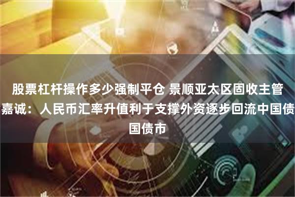 股票杠杆操作多少强制平仓 景顺亚太区固收主管黄嘉诚：人民币汇率升值利于支撑外资逐步回流中国债市