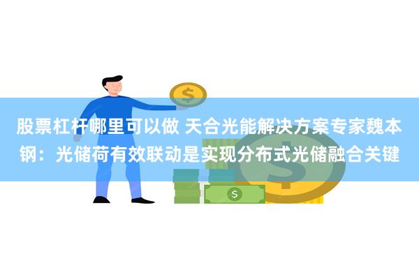 股票杠杆哪里可以做 天合光能解决方案专家魏本钢：光储荷有效联动是实现分布式光储融合关键