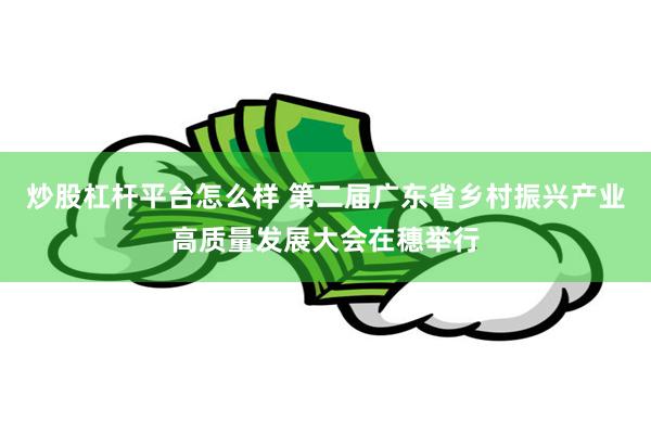 炒股杠杆平台怎么样 第二届广东省乡村振兴产业高质量发展大会在穗举行