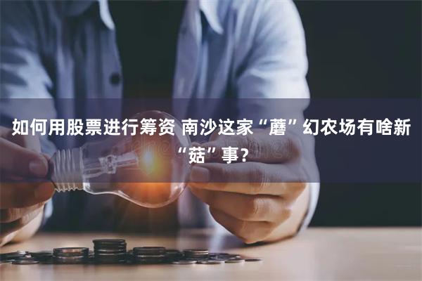 如何用股票进行筹资 南沙这家“蘑”幻农场有啥新“菇”事？