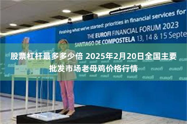 股票杠杆最多多少倍 2025年2月20日全国主要批发市场老母鸡价格行情