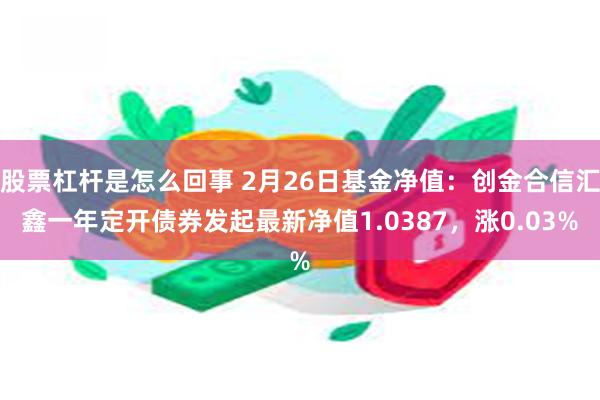 股票杠杆是怎么回事 2月26日基金净值：创金合信汇鑫一年定开债券发起最新净值1.0387，涨0.03%